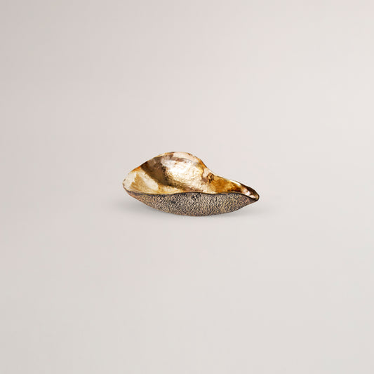Oyster bowl / bronze