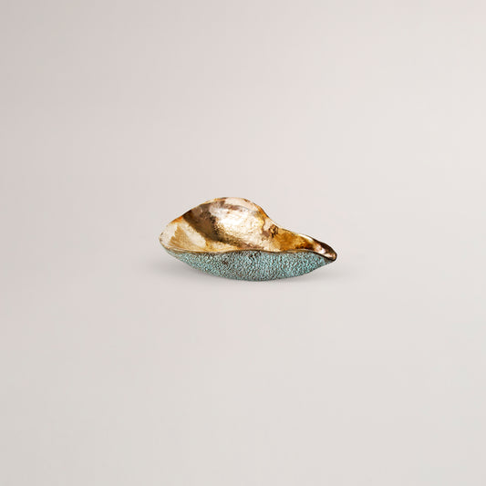 Oyster bowl / turquoise