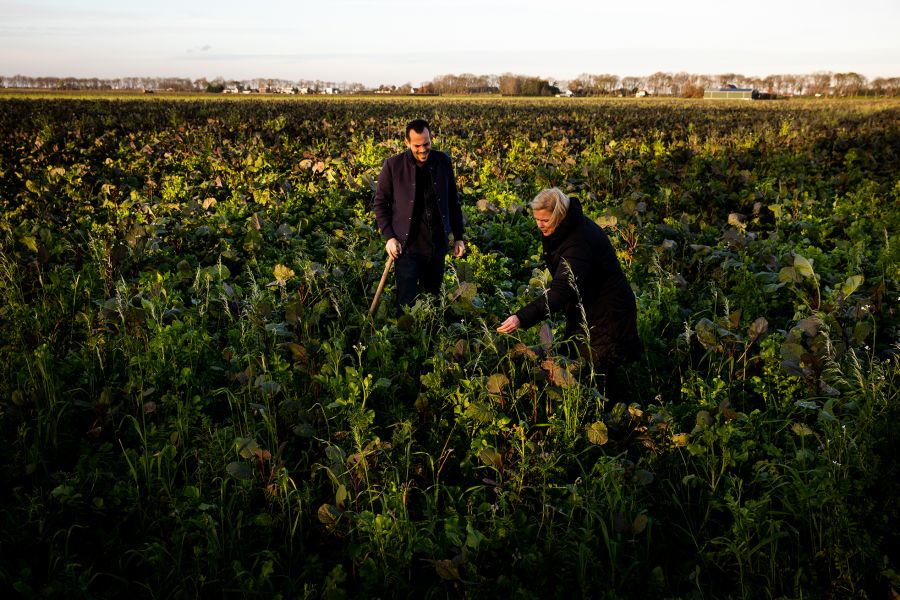 From Soil To Flavour. A Conversation With The Heroes Of Regenerative Agriculture