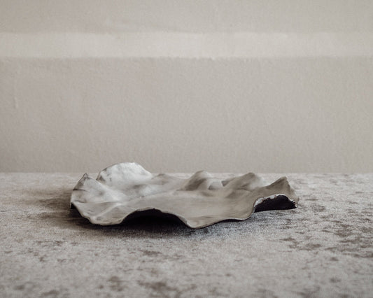 Assiette Tactus nº14