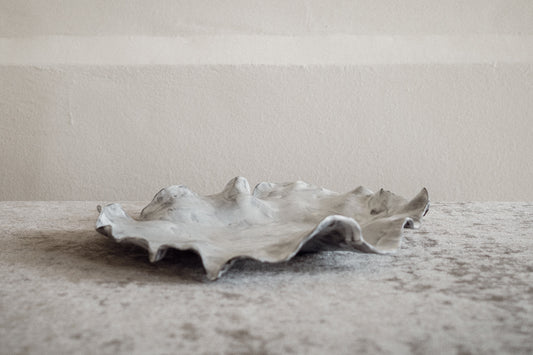 Assiette Tactus nº16